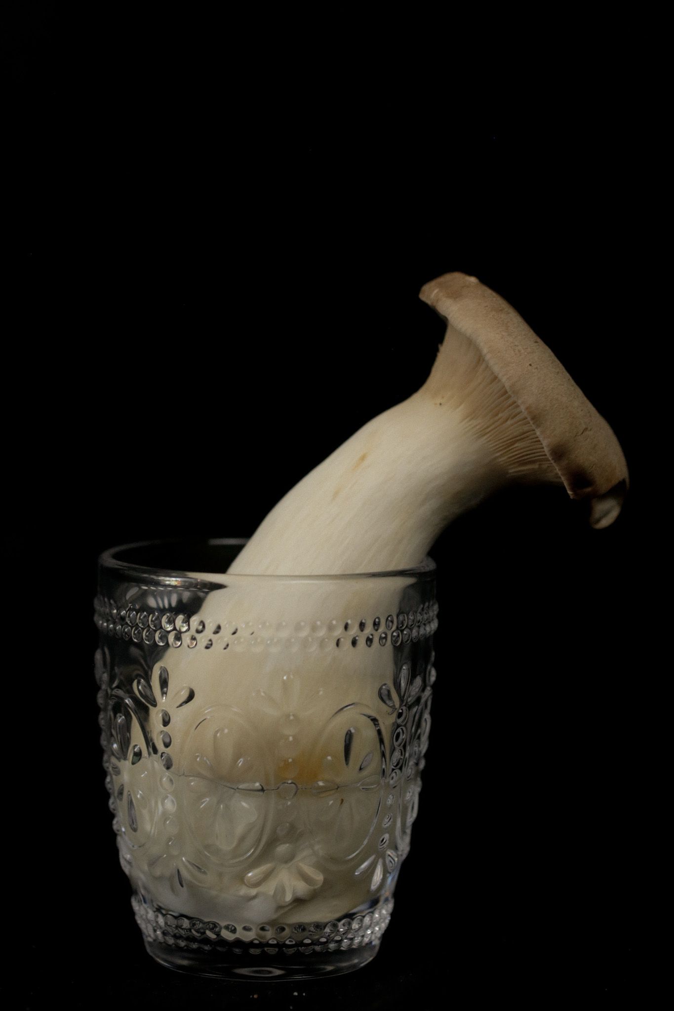 King oyster mushroom standing upright in a decorative crystal glass against a black background.