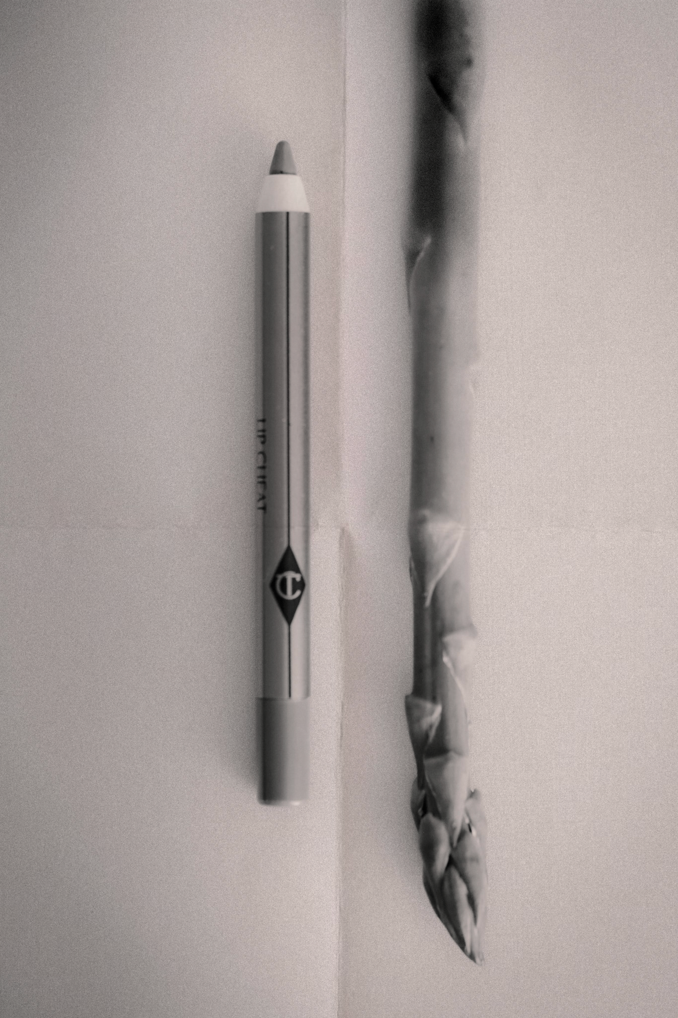 Charlotte Tilbury white eyeliner pencil beside a dried asparagus sprig in black and white artistic photo.