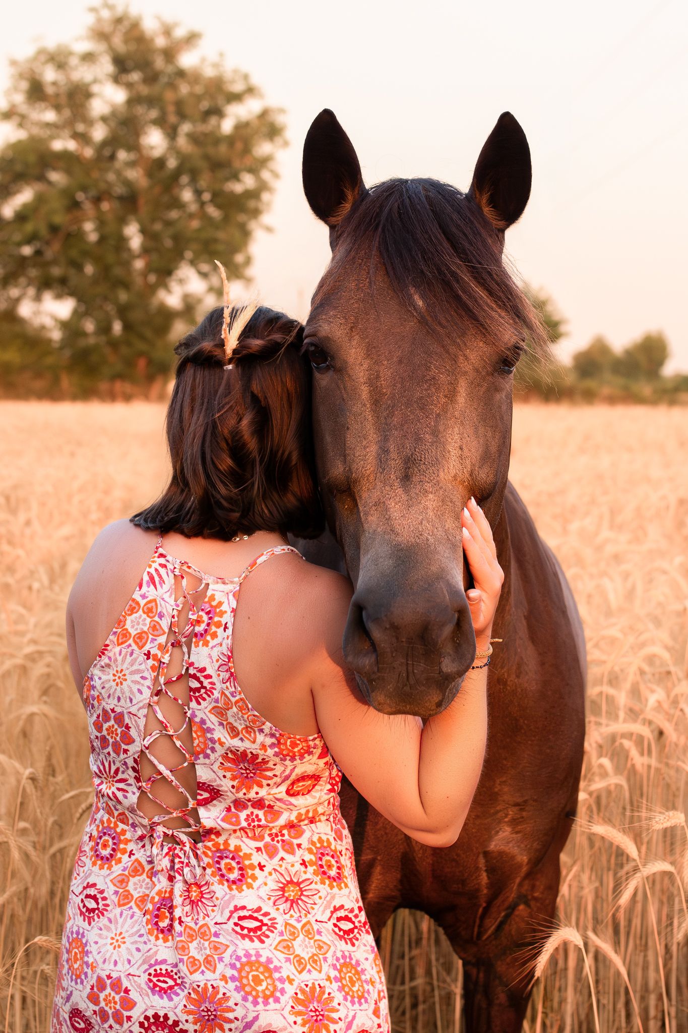 A young woman in a floral dress tenderly embraces a brown horse in a golden wheat field at sunset.