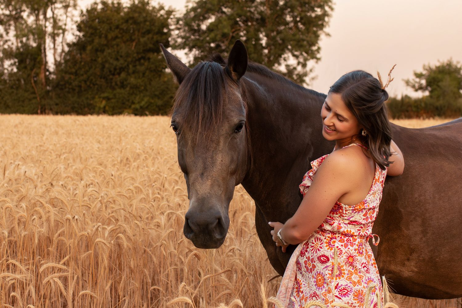 Woman in floral dress embracing a dark brown horse in a golden wheat field at sunset.
