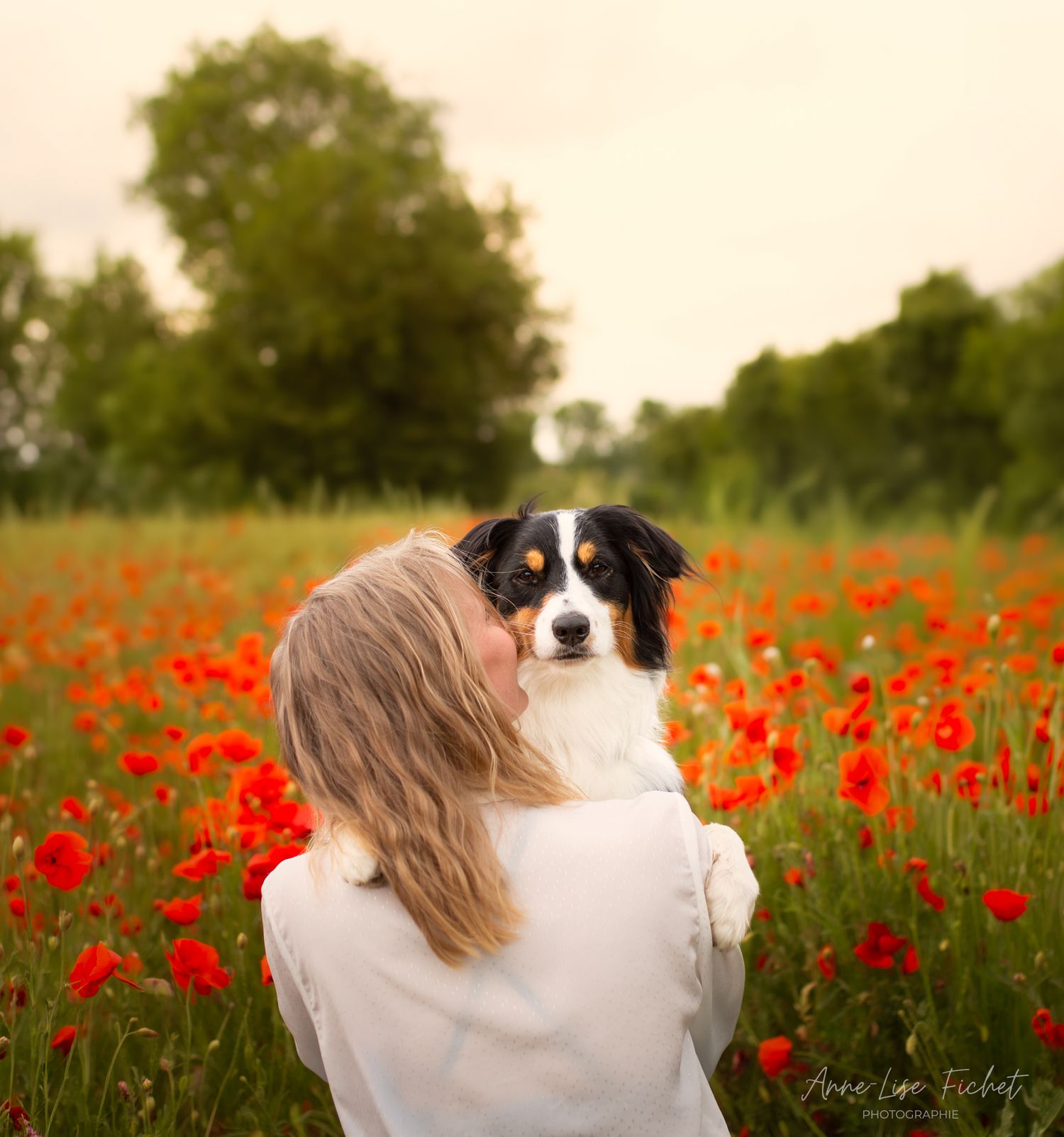 Woman in white shirt holds black and white dog in vibrant red poppy field with green trees backdrop.