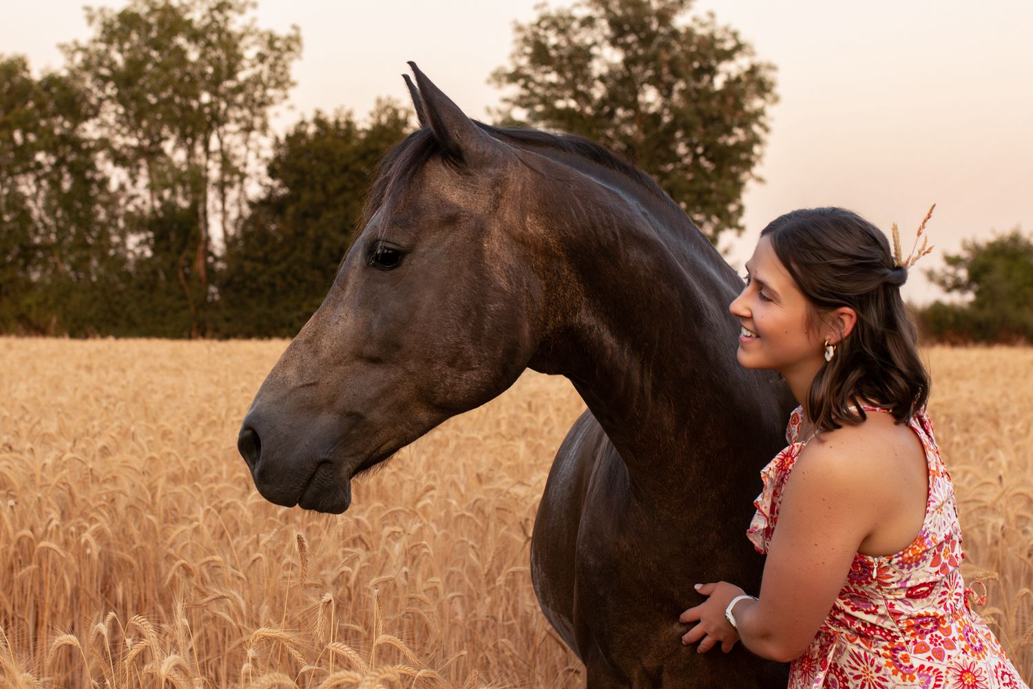 A smiling woman in a floral dress stands beside a dark brown horse in a golden wheat field at sunset.