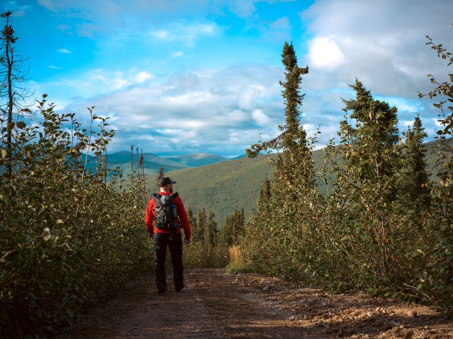 Jeff walking down the Charlie Dome Trail