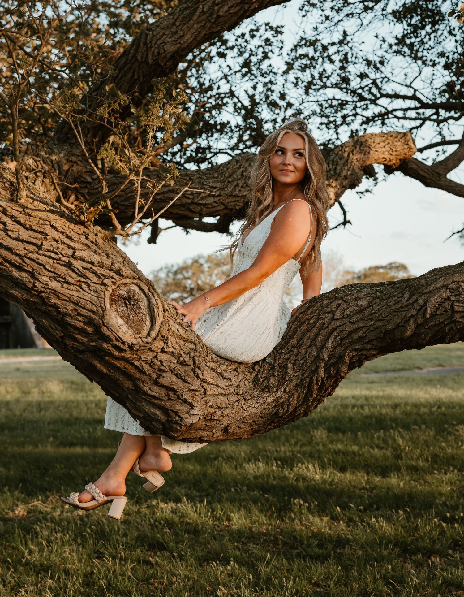 Blonde woman in white lace midi dress sitting gracefully on a large tree branch in a sunlit park.