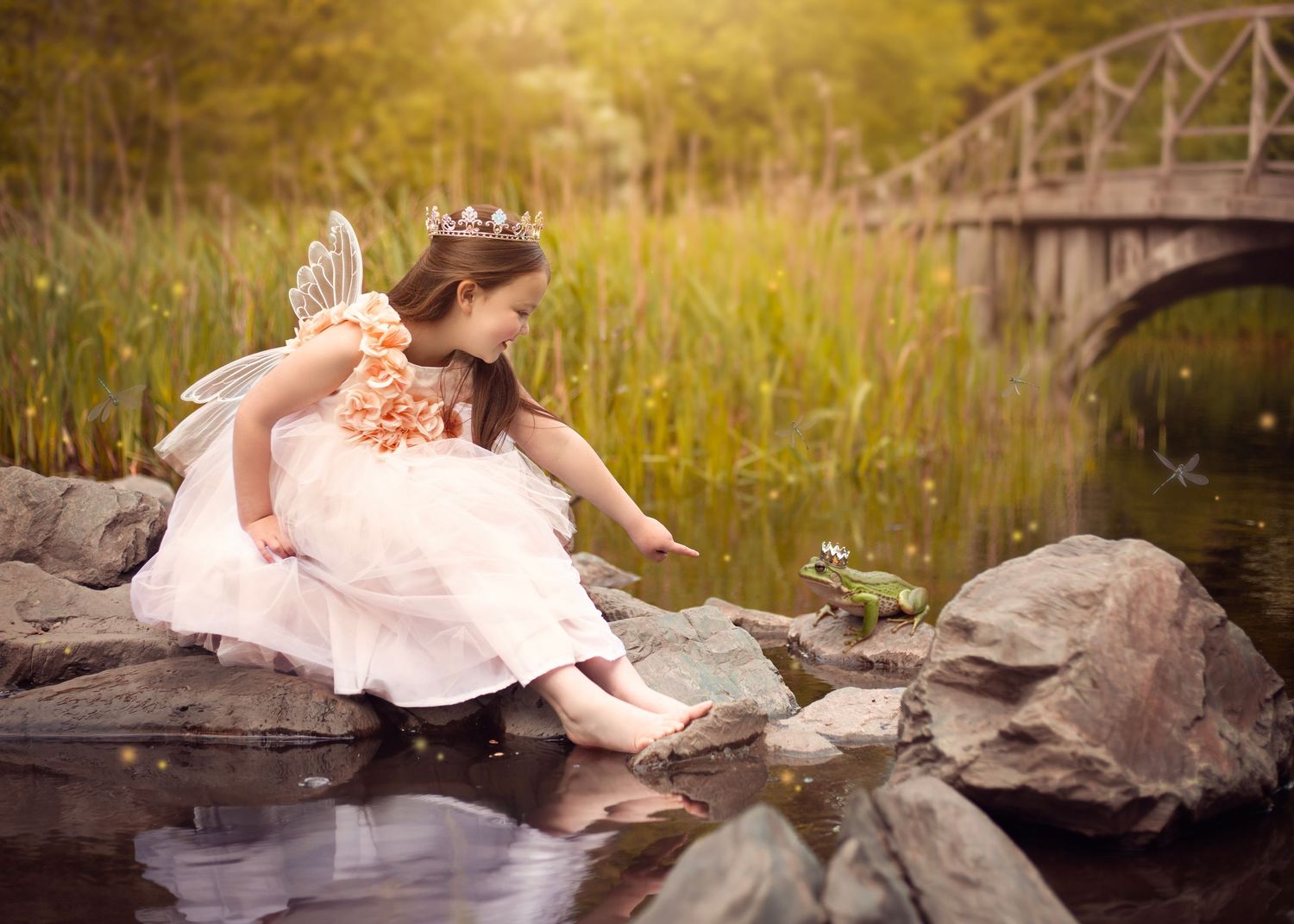 Little fairy princess in pink dress reaches toward a frog on rocks by a pond with a bridge in the West Midlands