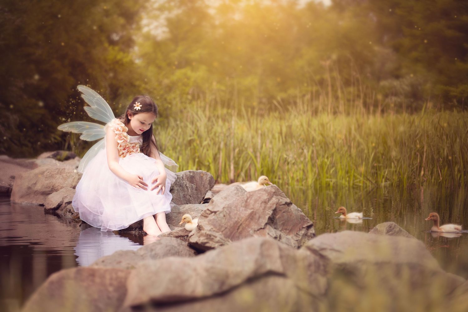 Young girl in fairy costume with teal wings sits peacefully on rocks beside a tranquil pond in the West Midlands
