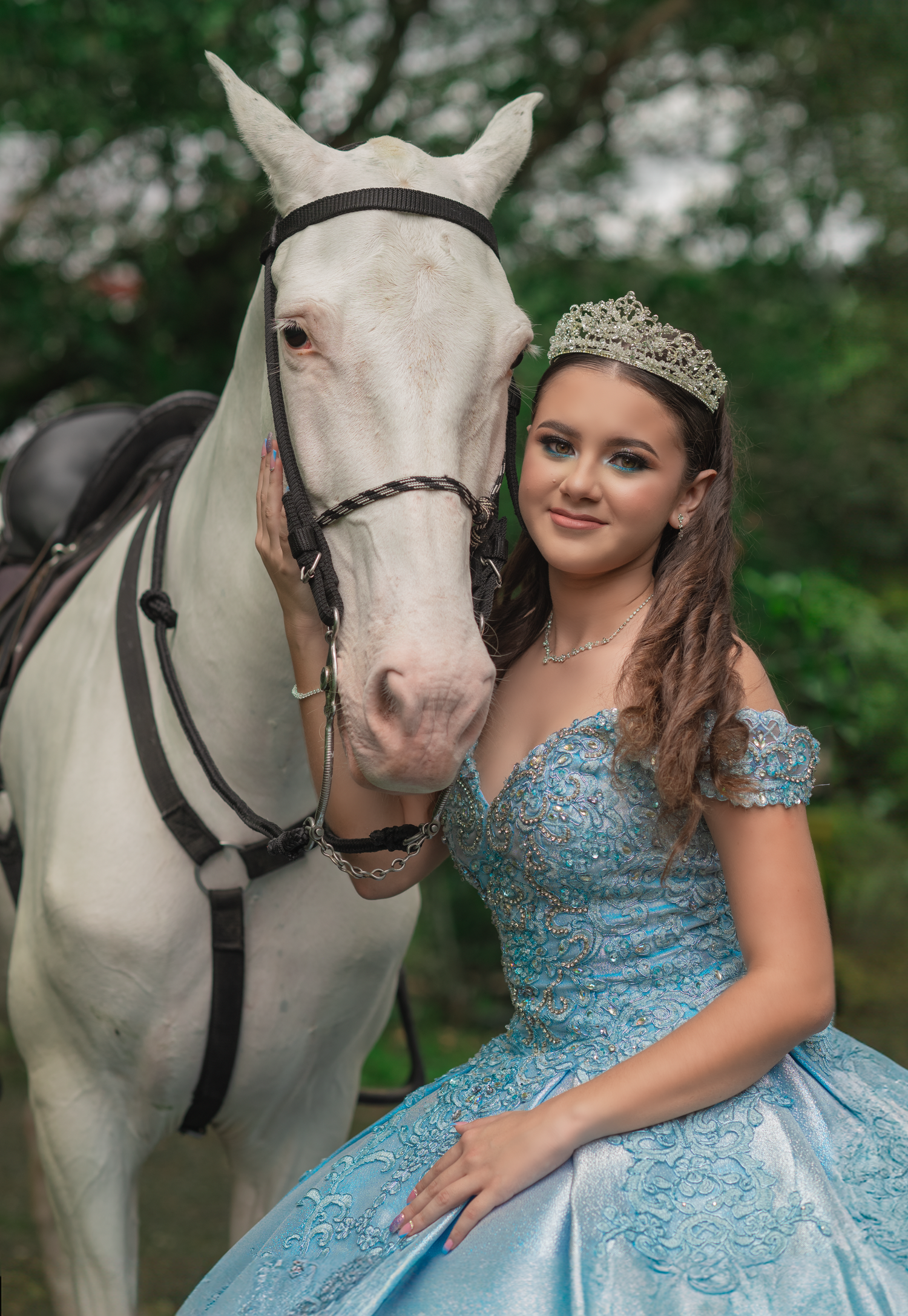 A majestic white horse poses with its rider wearing a sparkly blue gown and tiara.