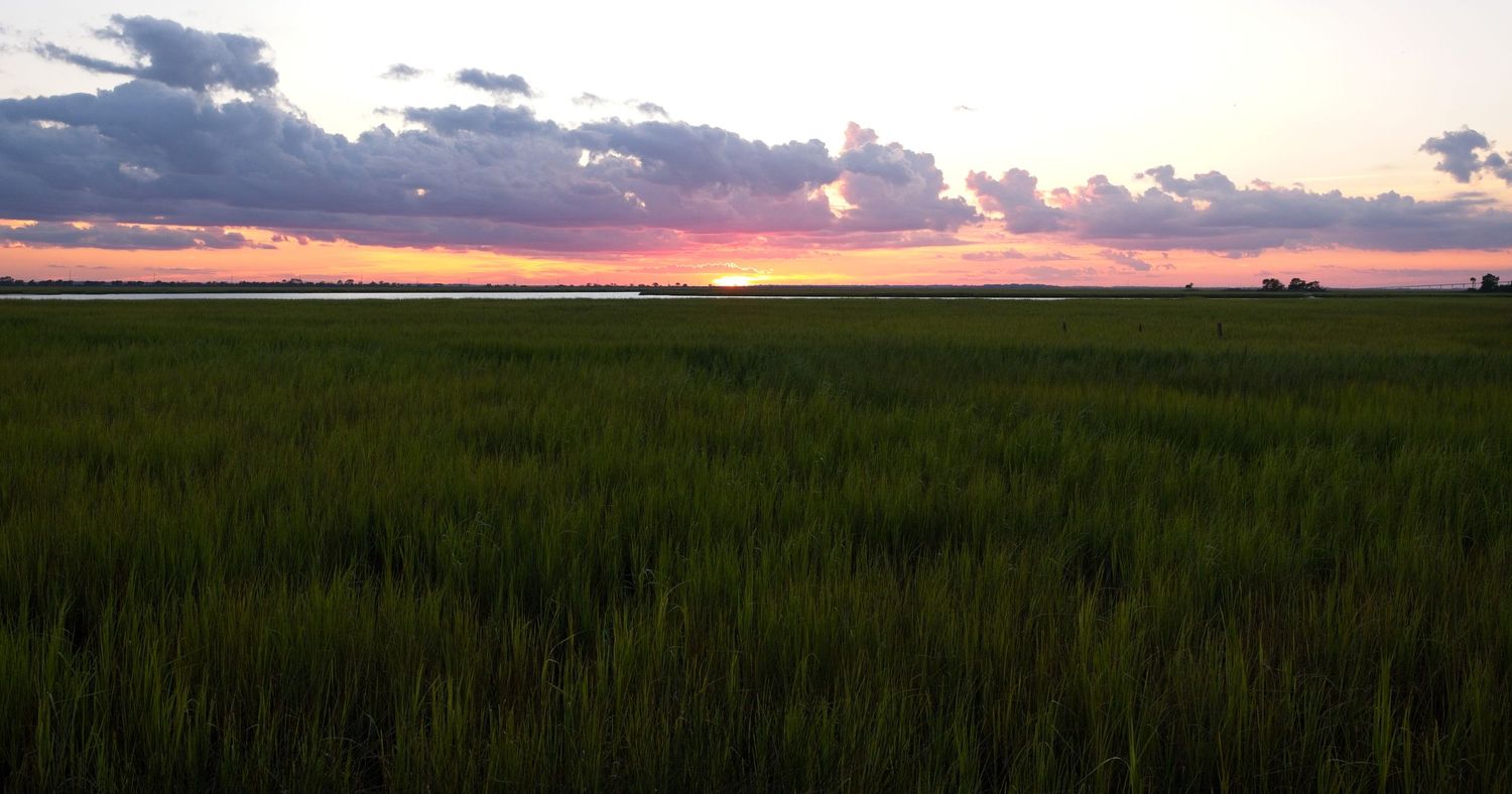 Vibrant sunset over a green coastal marsh with dramatic pink and orange clouds on the horizon.