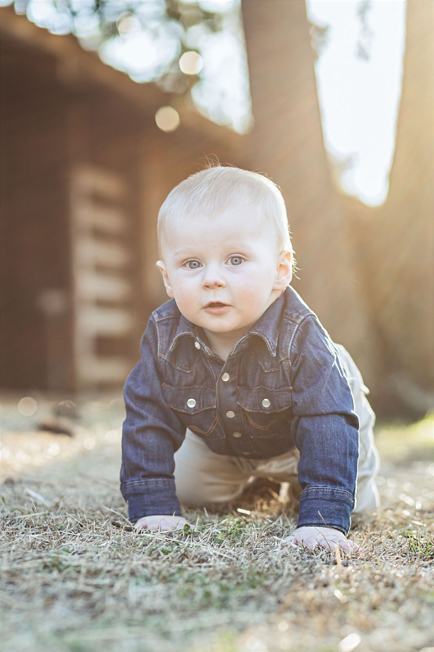 Baby boy crawling in the grass during golden hour