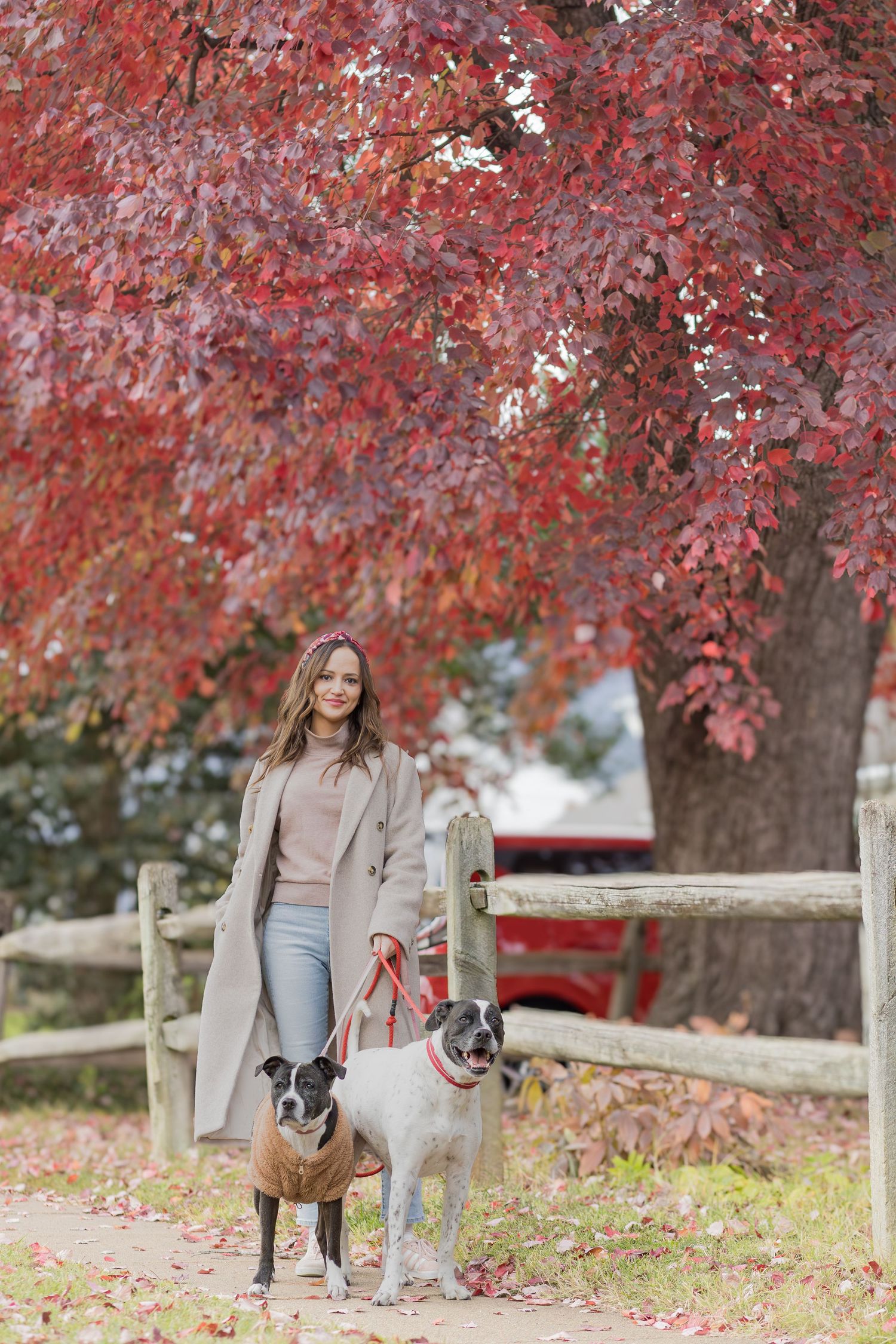 Woman with her dogs by a wooden fence under red fall leaves