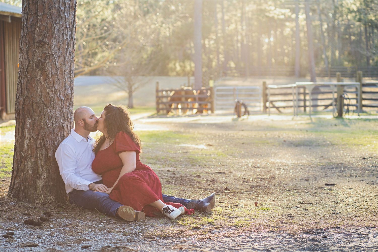 Family sitting together under a tree in a sunny pasture