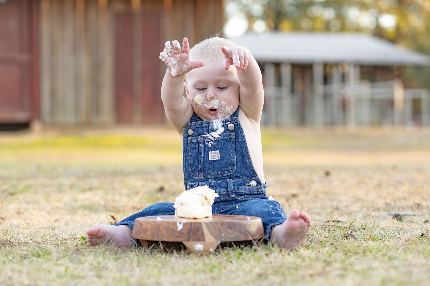 Toddler in overalls sitting in a field with arms raised