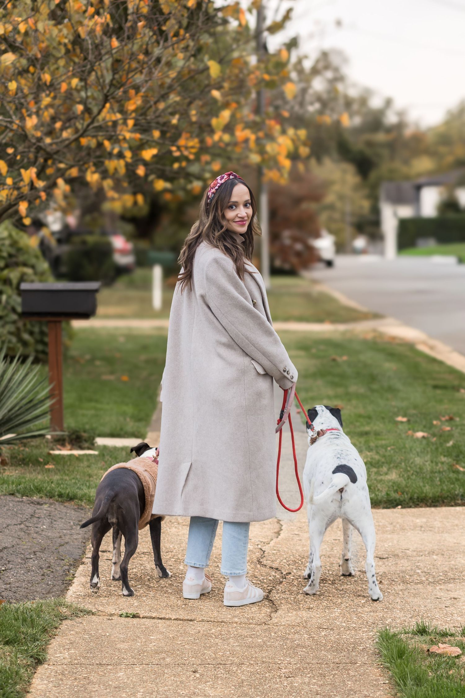 Woman walking her dogs down a neighborhood sidewalk in fall