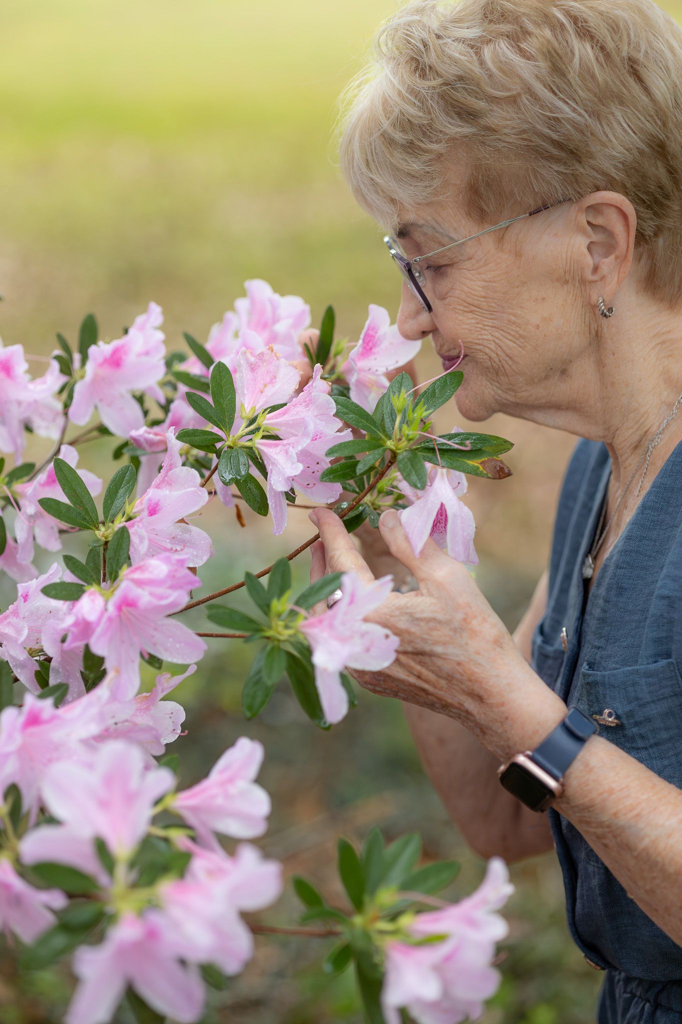 Grandmother smelling pink azalea blooms