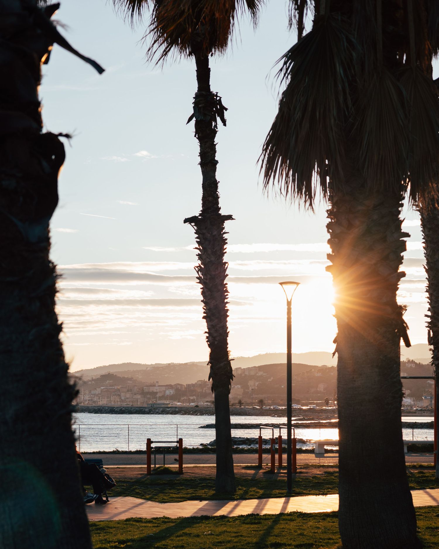Sunset through palm trees at a coastal park with mountains and water in the background. Tramonto Imperia, Italia