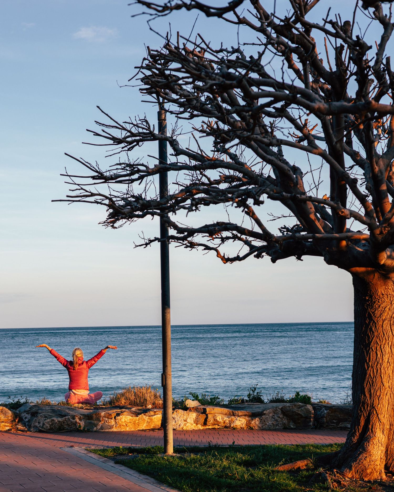 Person in red jacket sitting on rocks with arms raised near a bare tree by the ocean at sunset. Yoga by the Ocean, Imperia, Italy