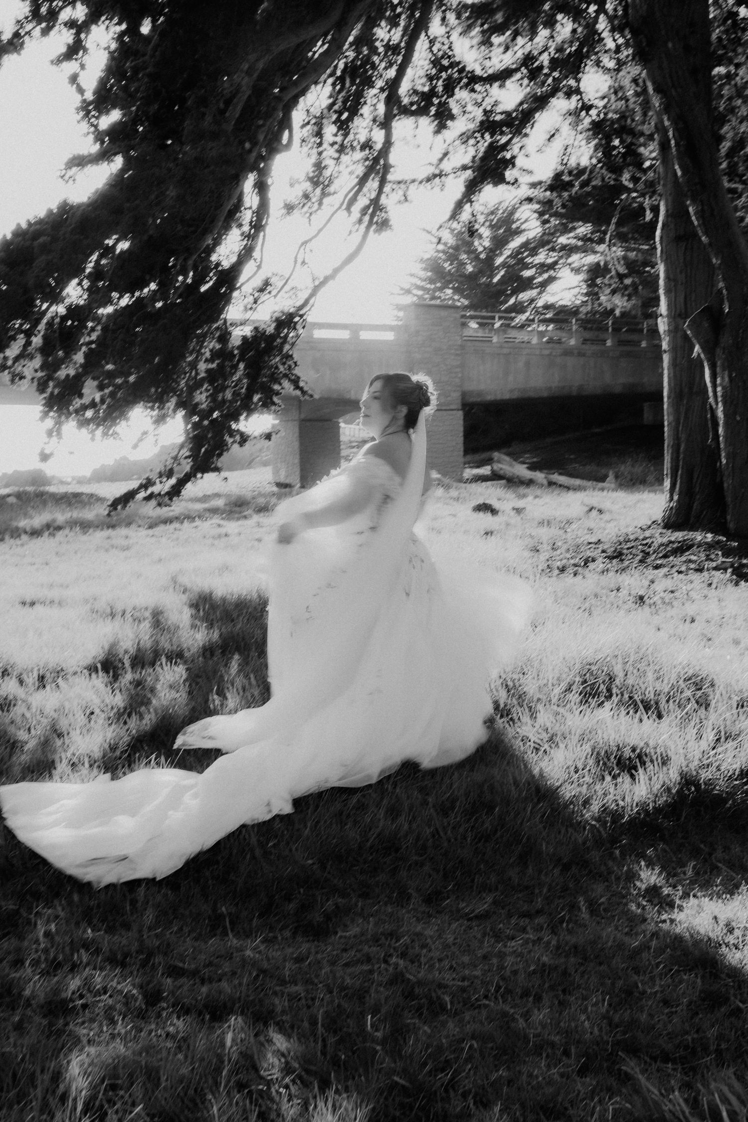 Black and white photo of bride in flowing gown standing under tree outdoors.