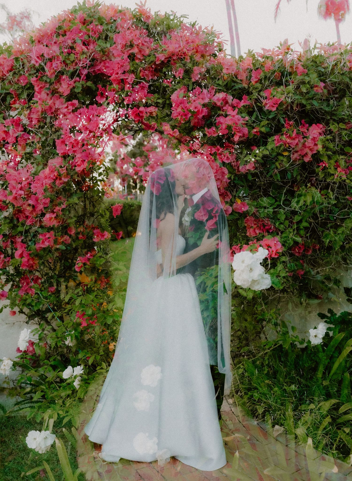 Bride and groom kissing under a sheer veil surrounded by vibrant pink bougainvillea floral arch outdoors.