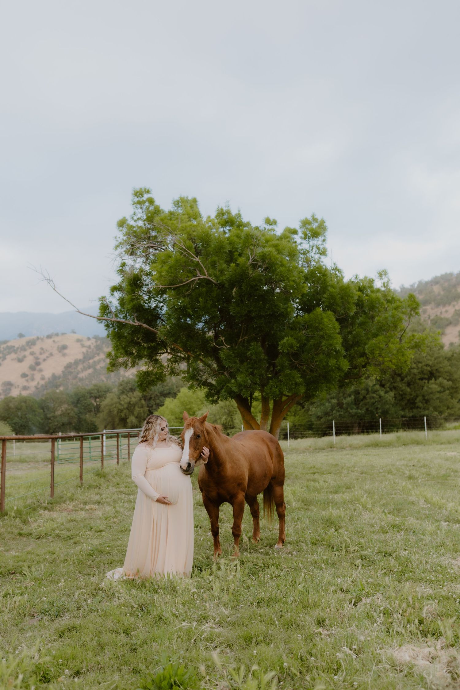 Pregnant woman in blush maternity gown posing with a chestnut horse in a scenic field.