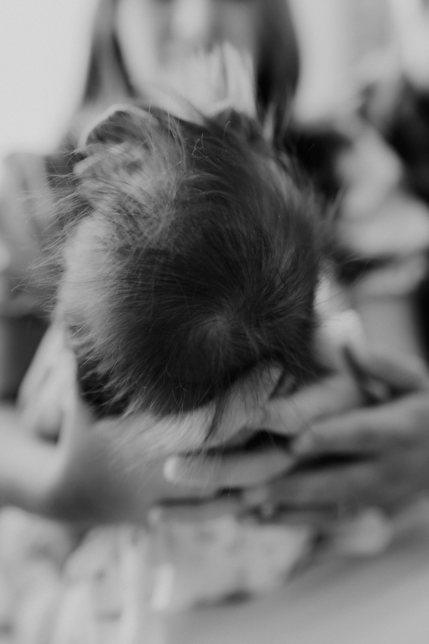 Soft black and white close-up of newborn baby's dark hair being gently held by mother.