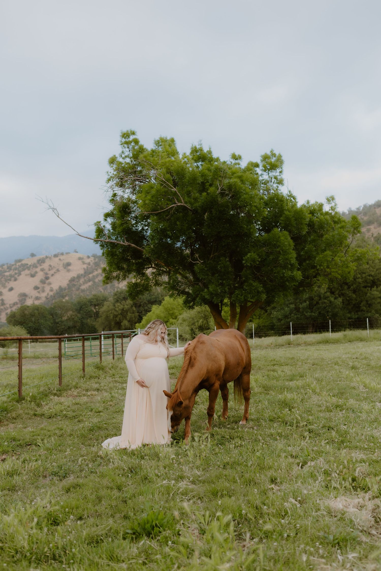 Pregnant woman in flowing pink gown standing beside a chestnut horse in a green pasture.