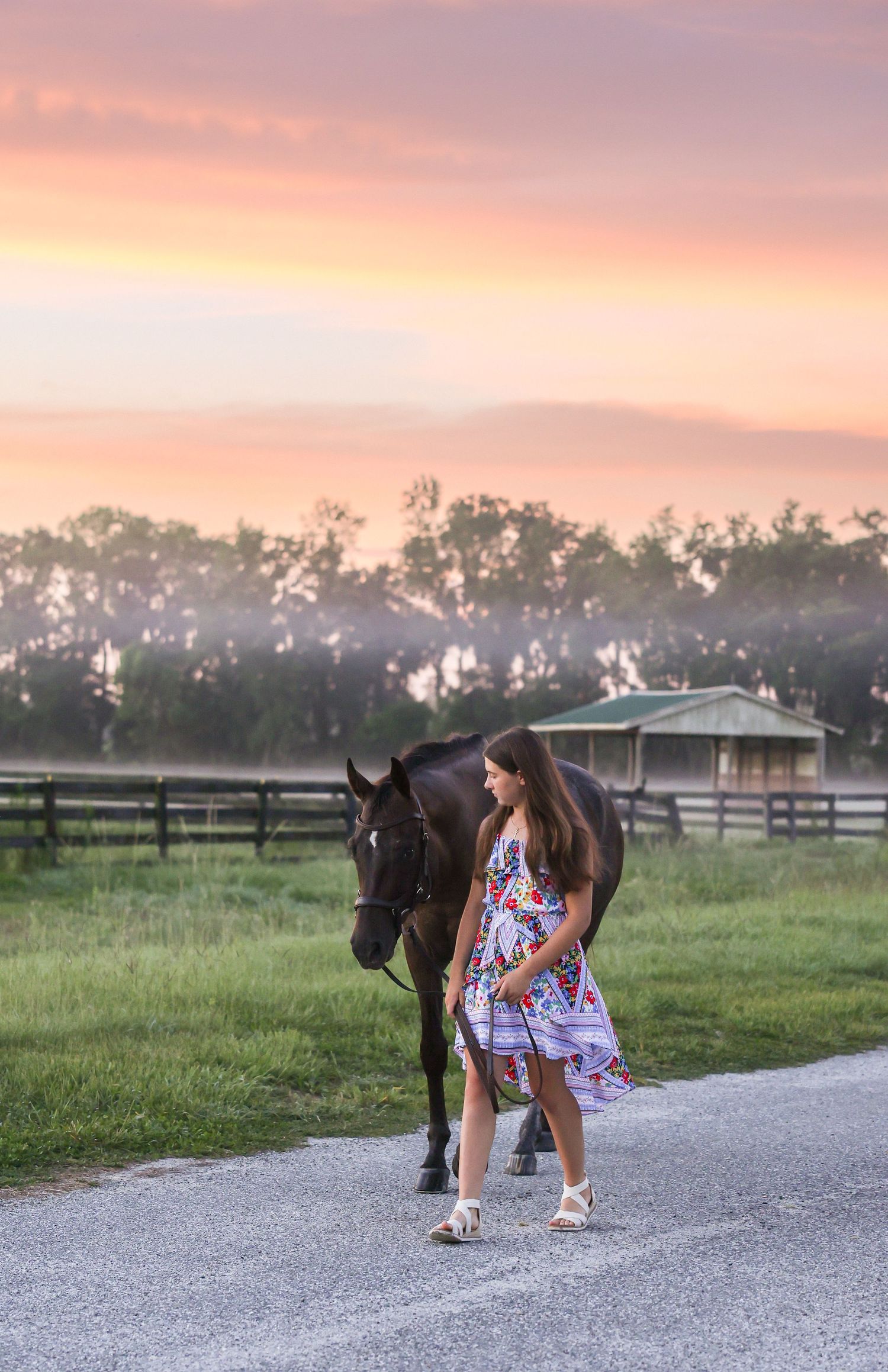 Girl in floral dress walks dark horse along farm path at sunset with pink sky and misty trees in background.
