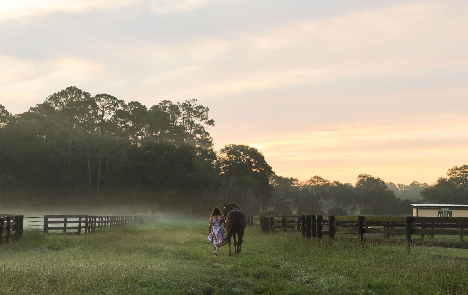 Two people walk a horse along a misty farm path at sunrise, surrounded by green fields and wooden fences.