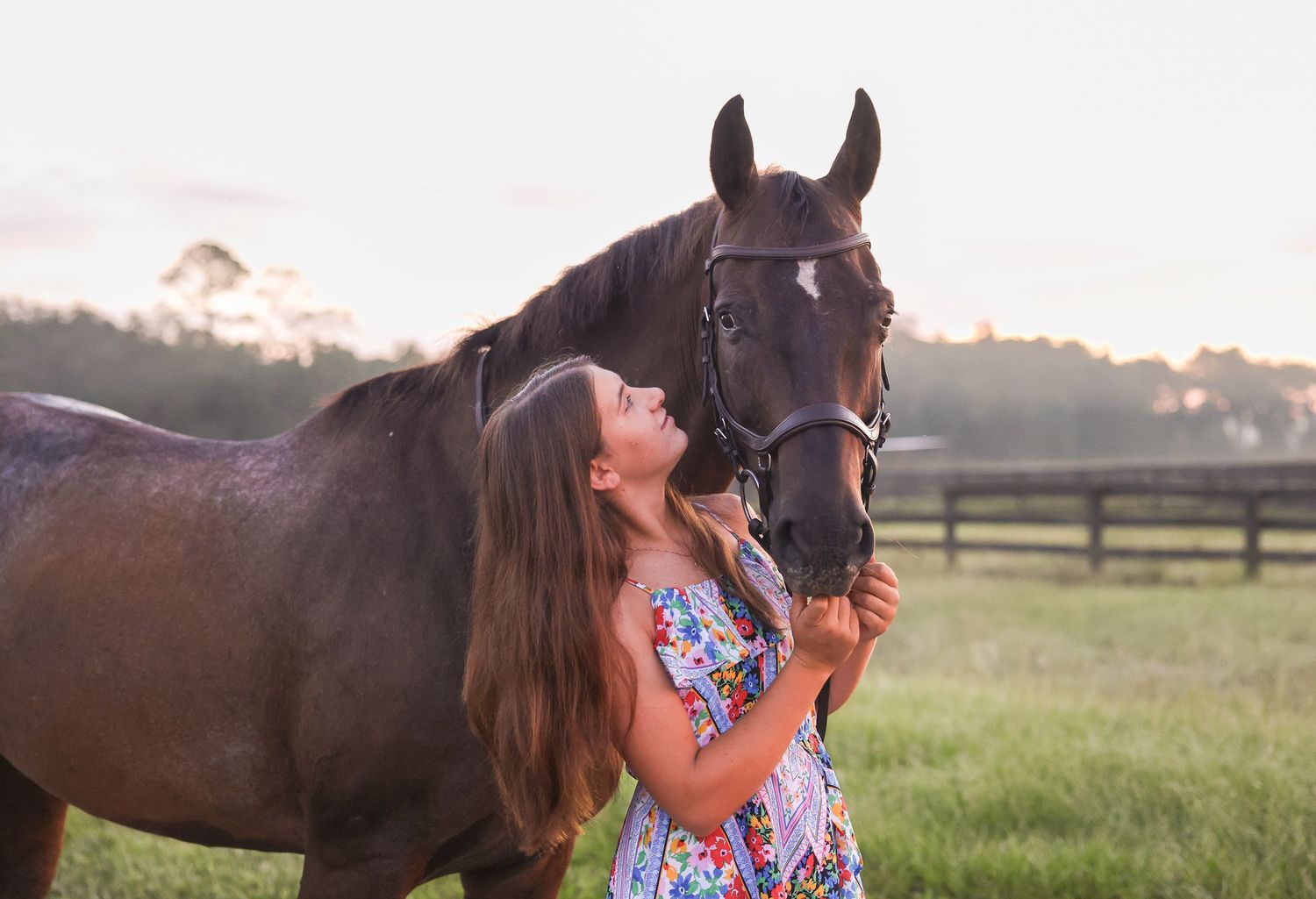 Young girl in floral dress affectionately bonding with a dark brown horse in a sunny green pasture.