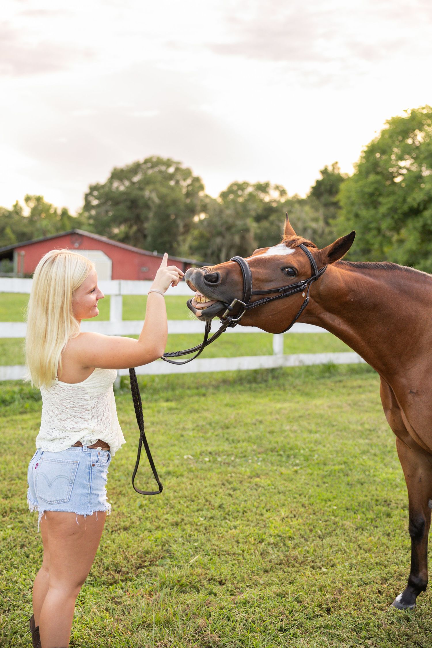 Blonde woman in white top and denim shorts feeding chestnut horse treat at sunny ranch.