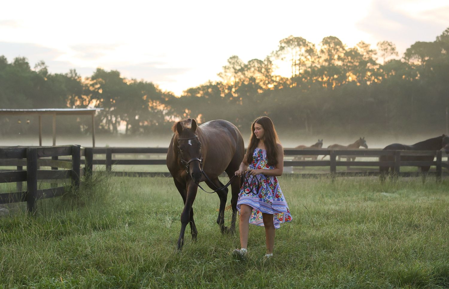A young girl in a floral dress walks beside a dark horse at sunrise on a misty green farm.
