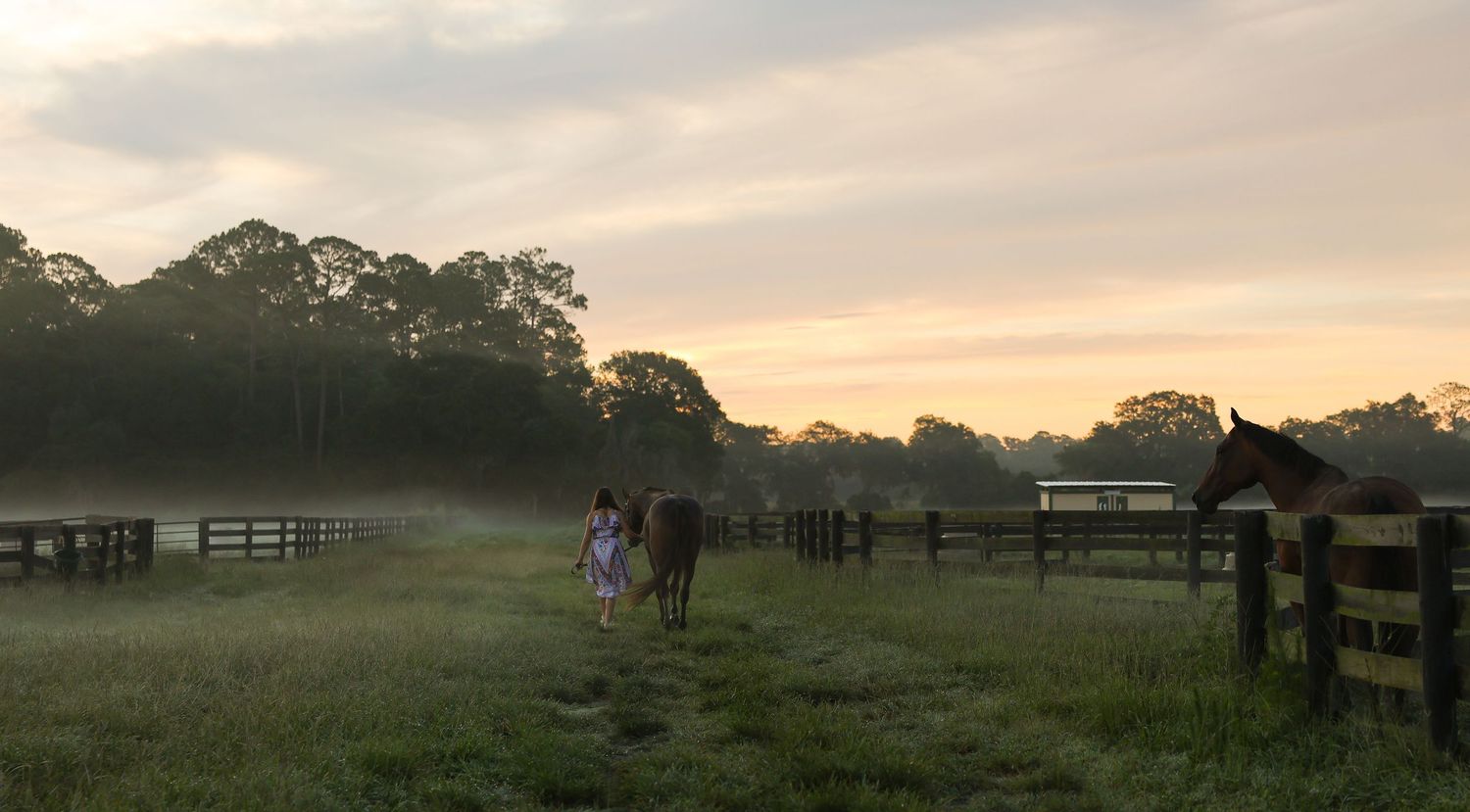 Person walking toward horses in a misty morning pasture at sunrise, surrounded by wooden fences and tall trees.