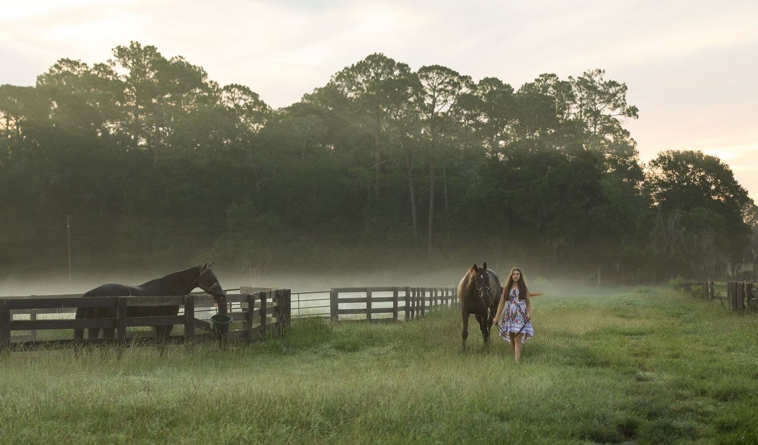 Woman walking with horses in a misty green pasture at sunrise, surrounded by wooden fences and tall trees.