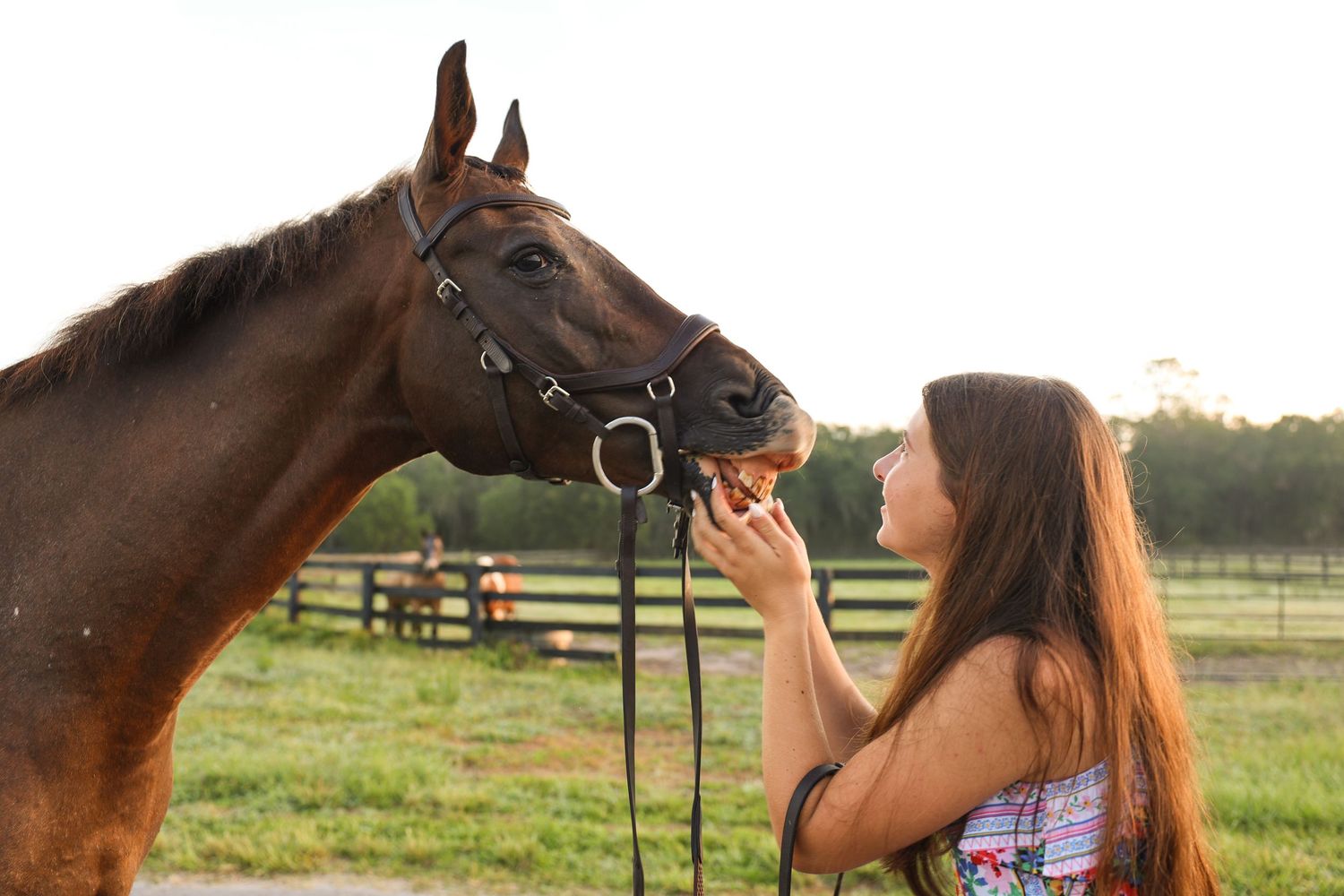 A young girl with long brown hair affectionately nuzzles a brown horse wearing a black halter in a green pasture.