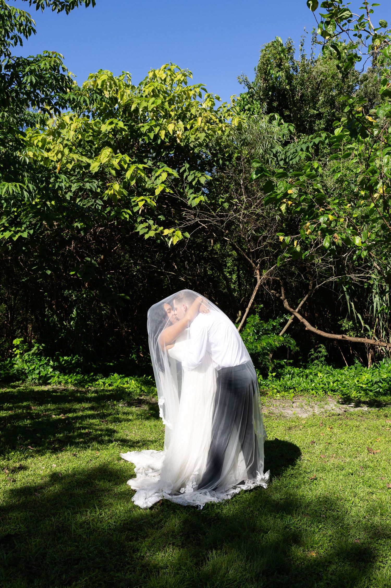 Bride and groom sharing a romantic kiss under a wedding veil in a lush green garden on a sunny day.