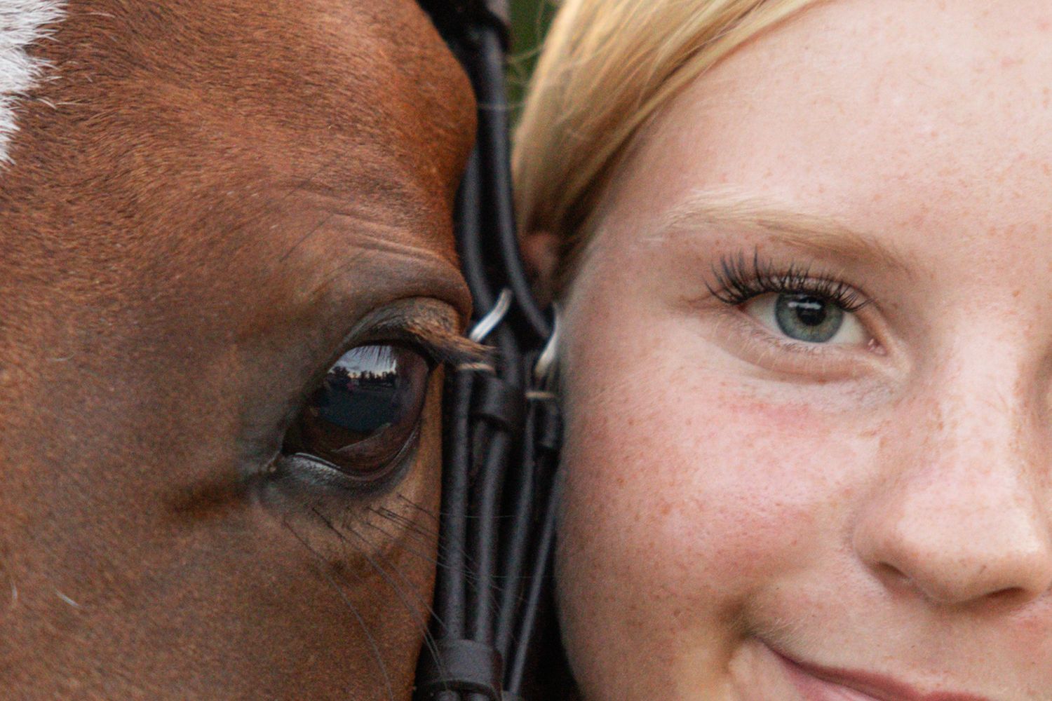 Close-up of a young blonde girl cheek-to-cheek with a brown horse, showcasing their bond.