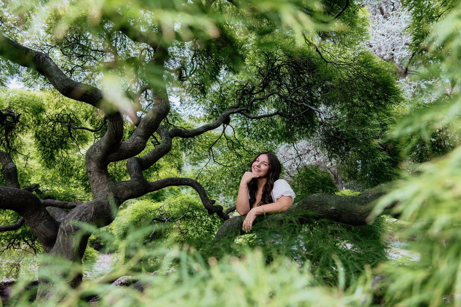 Young woman resting on curved tree branches surrounded by lush green foliage in a serene outdoor setting.