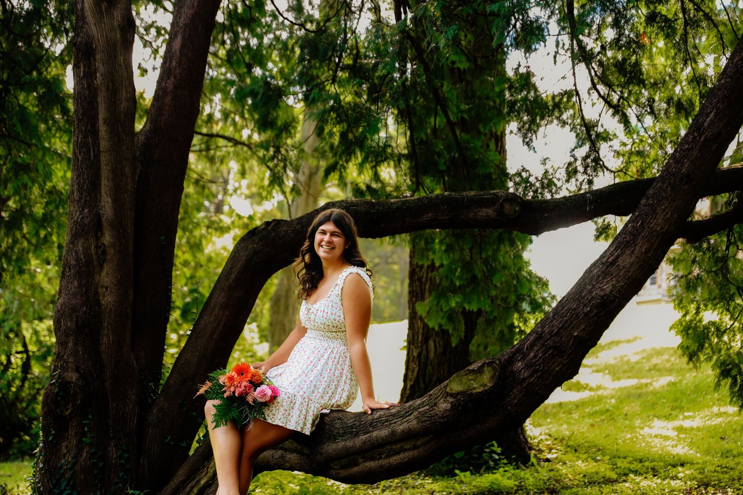 Young woman in white dress sitting on tree branch holding pink flowers in a lush green park setting.