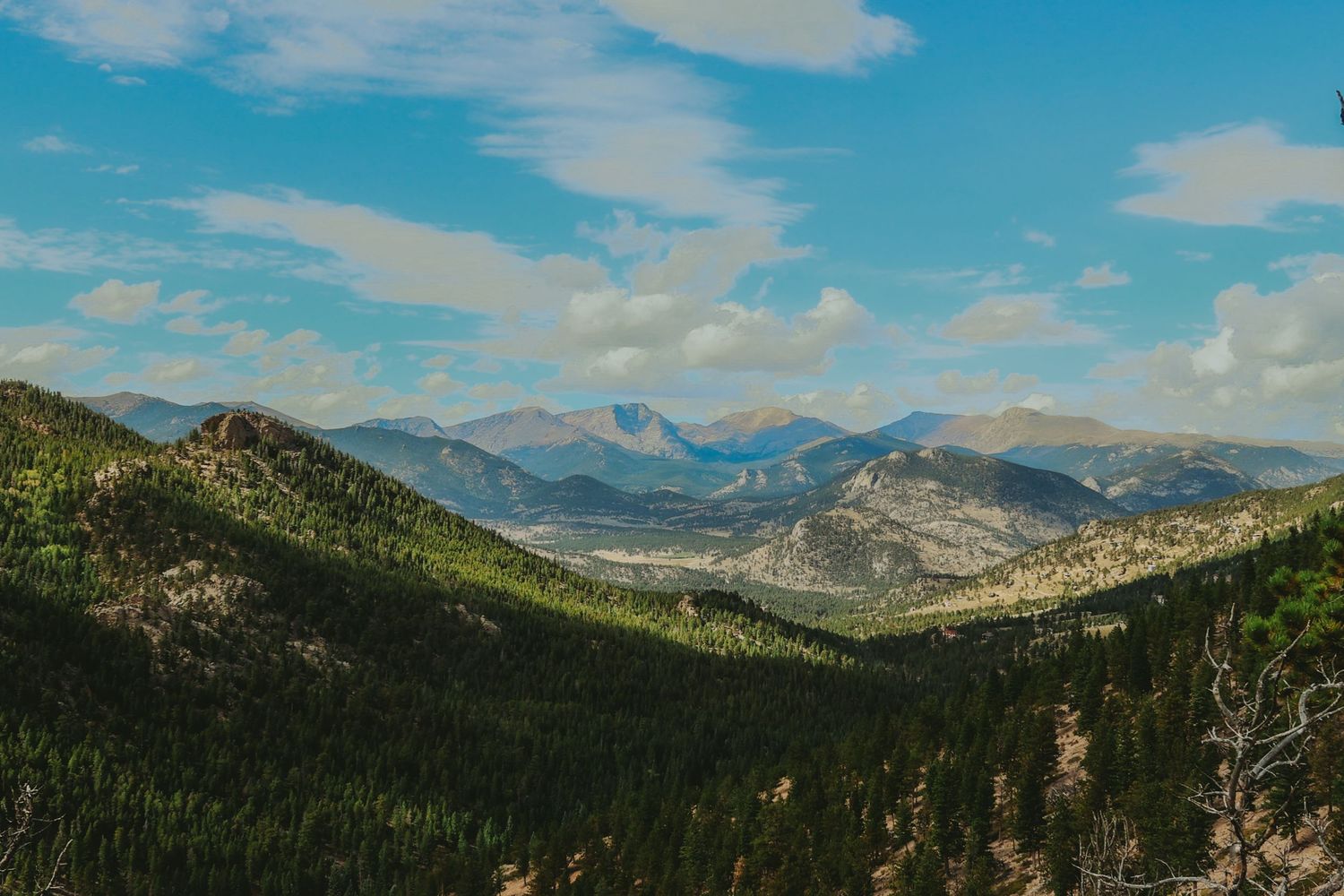 Panoramic view of Rocky Mountain peaks with lush pine forests under a blue sky with scattered white clouds.