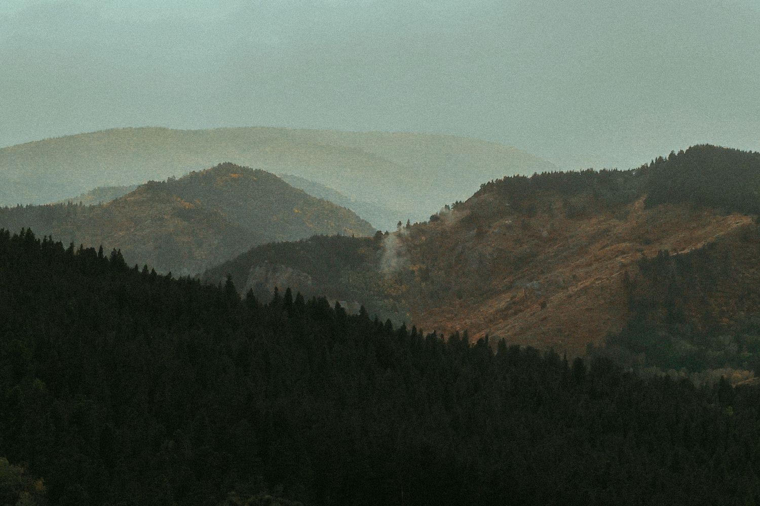 Misty mountain landscape with layered hills covered in dense evergreen forests under a hazy overcast sky.