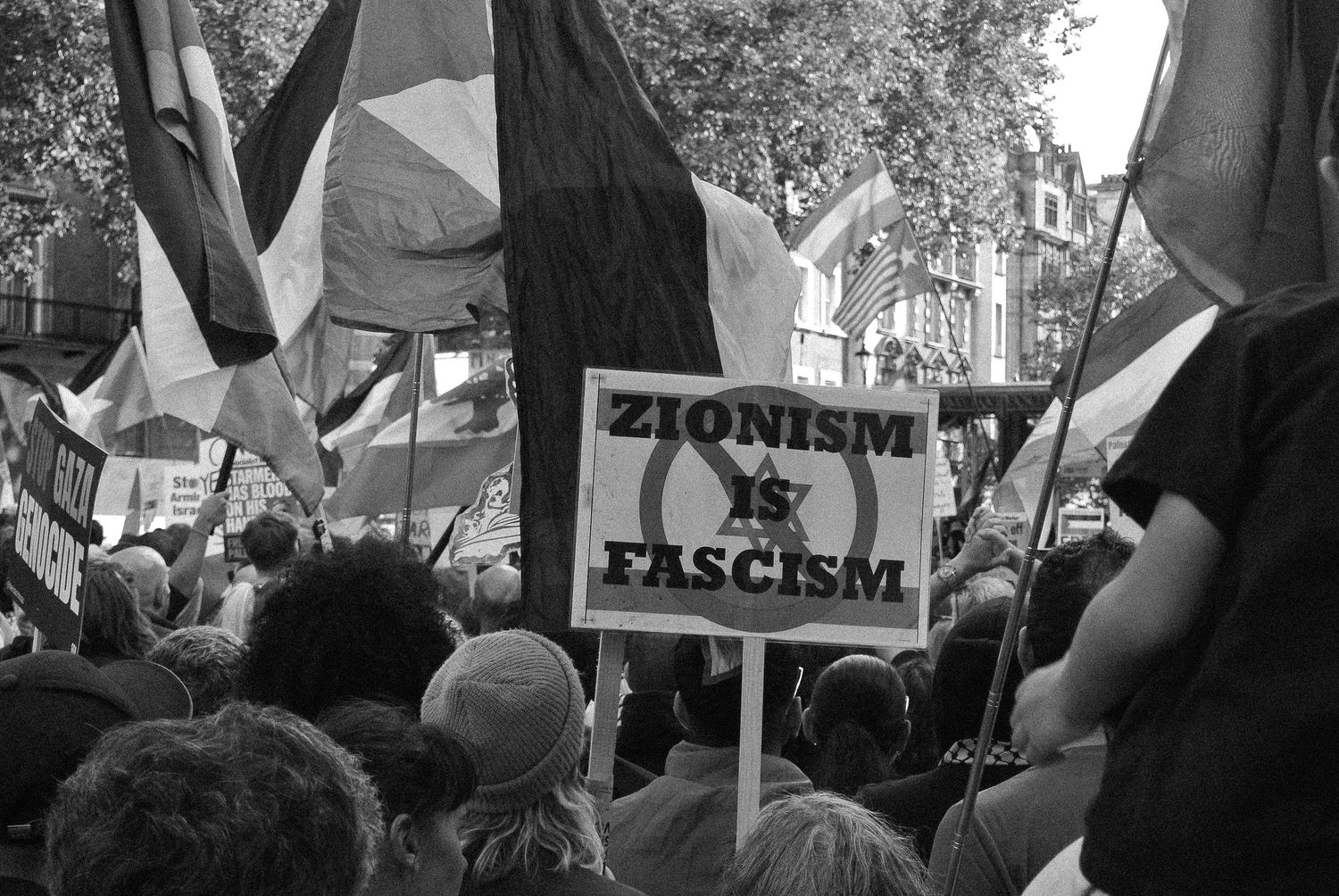 Flags and signs in the crowd of a Palestine demonstration, London