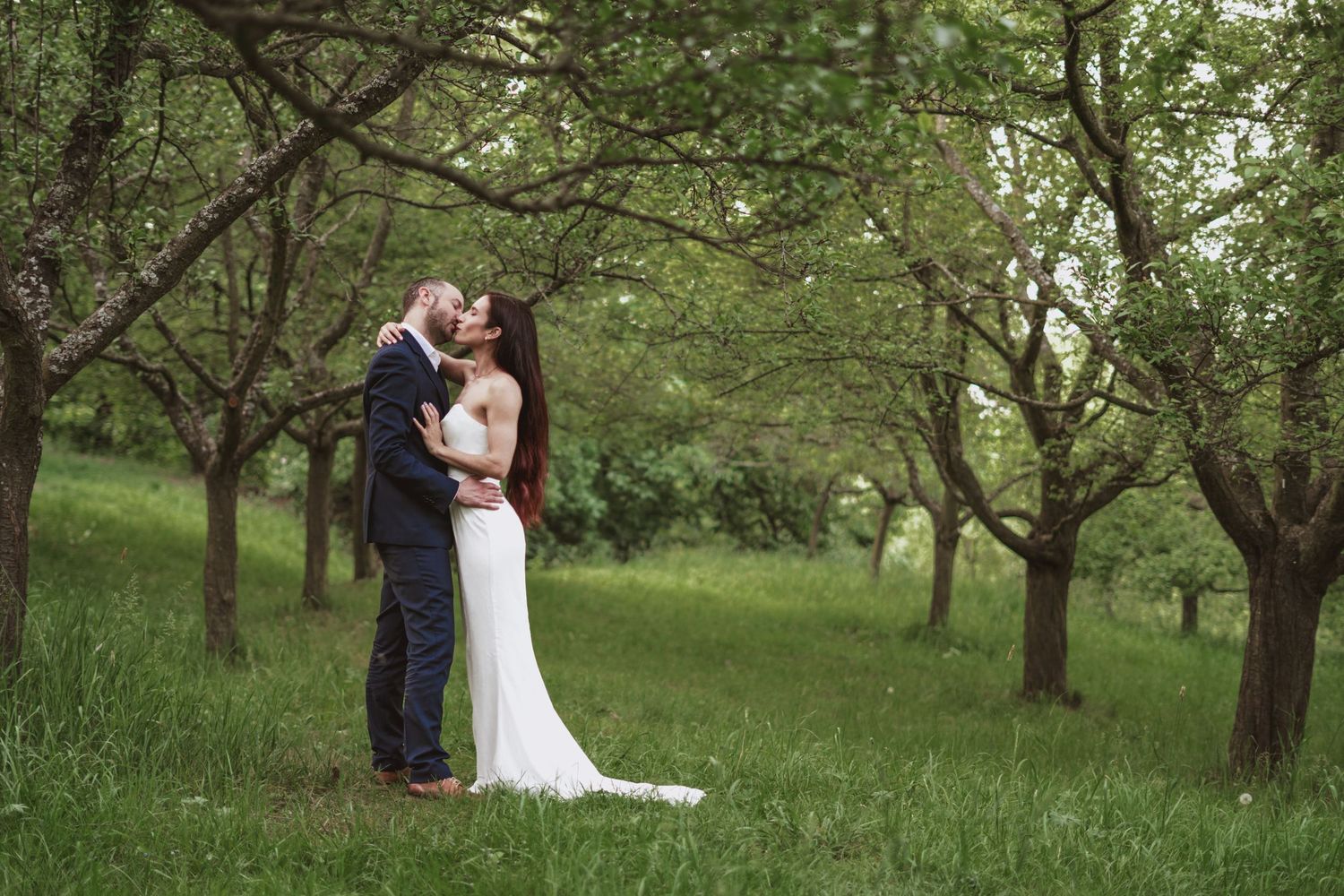 Bride in a white gown and groom in a dark suit kiss on a grassy lawn surrounded by green orchard trees on their wedding day.