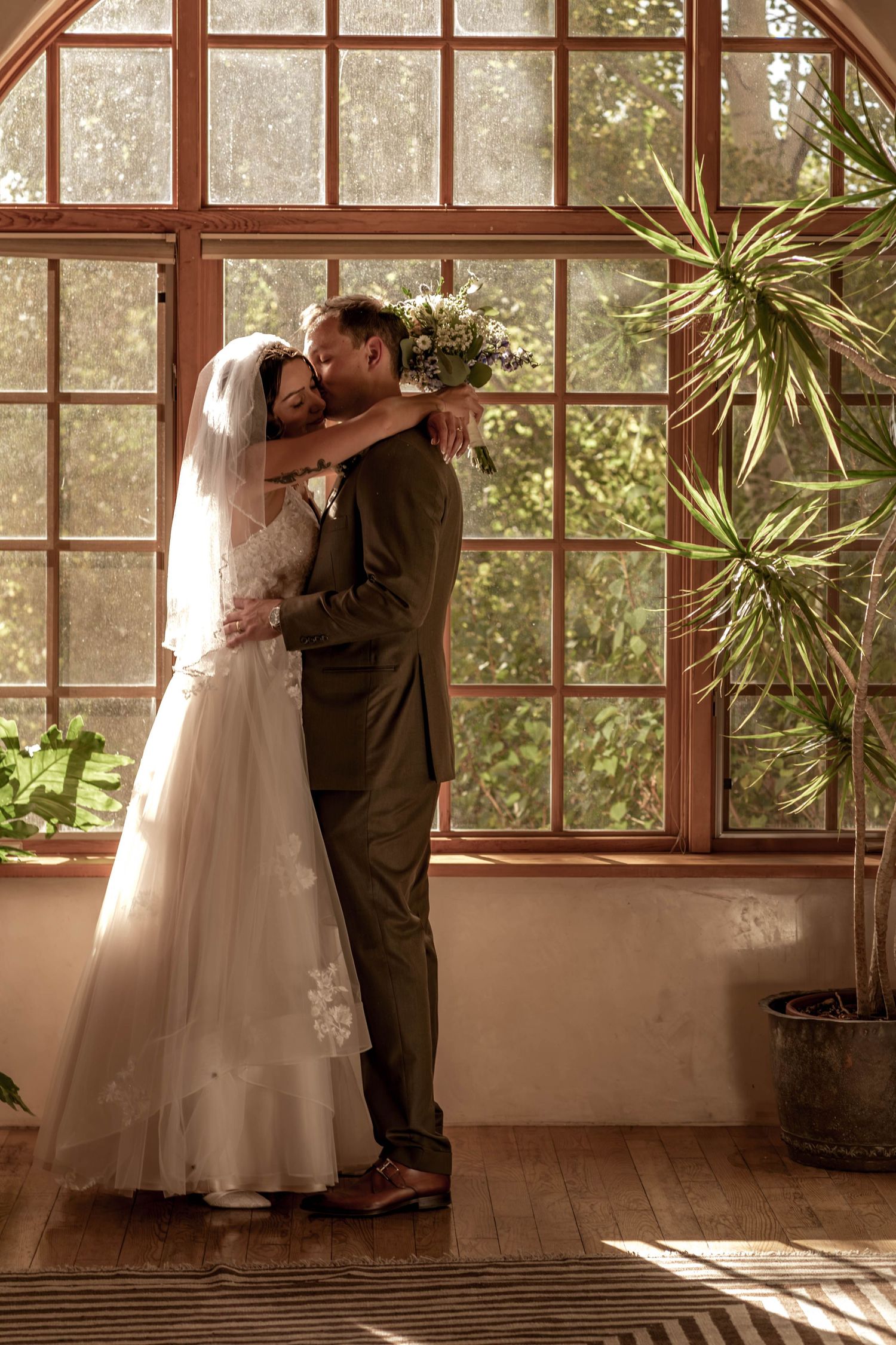A couple embracing beside a tall sunlit window and a leafy indoor plant.