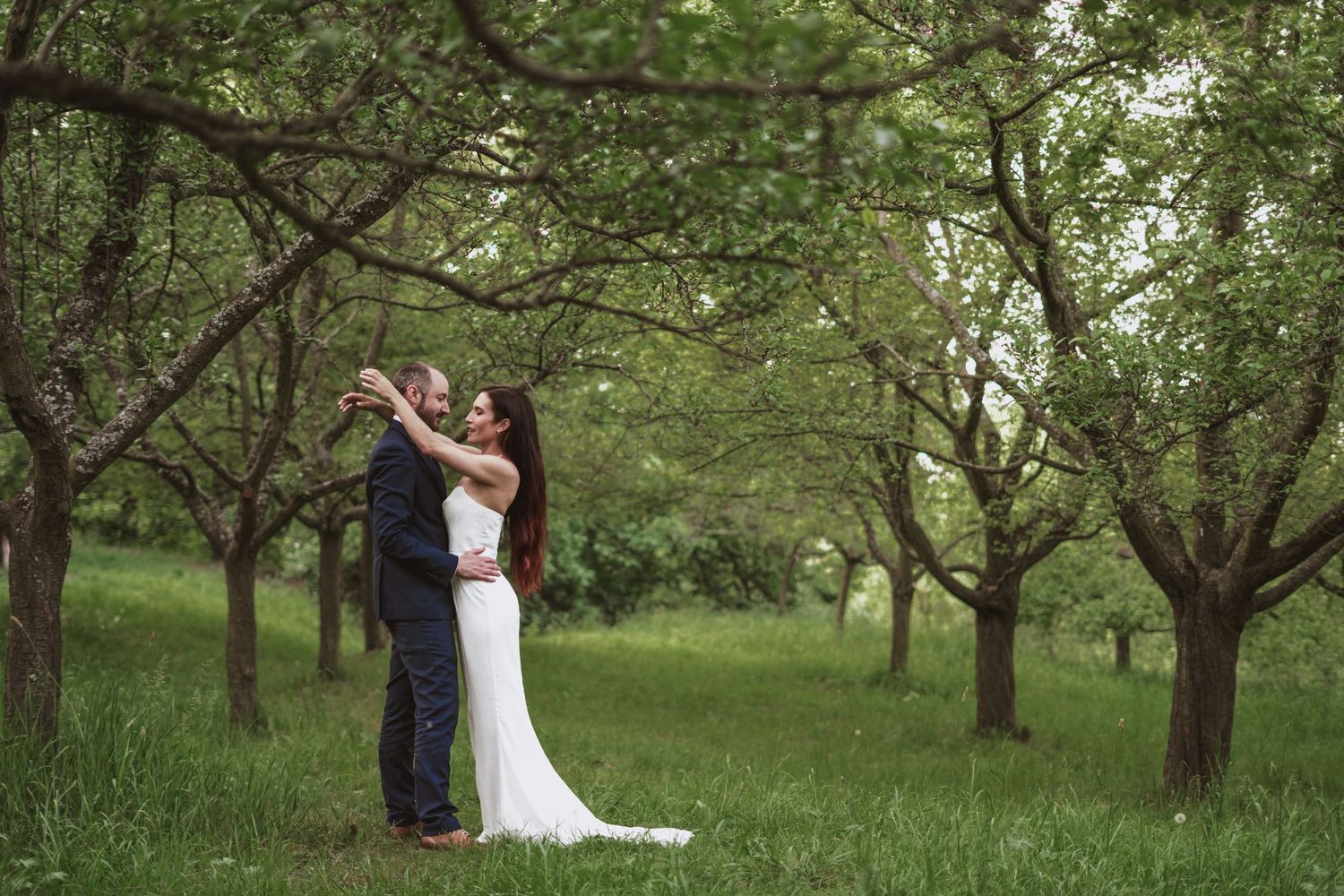 Bride in a white gown and groom in a dark suit embrace among rows of apple trees on a green grassy orchard lawn.