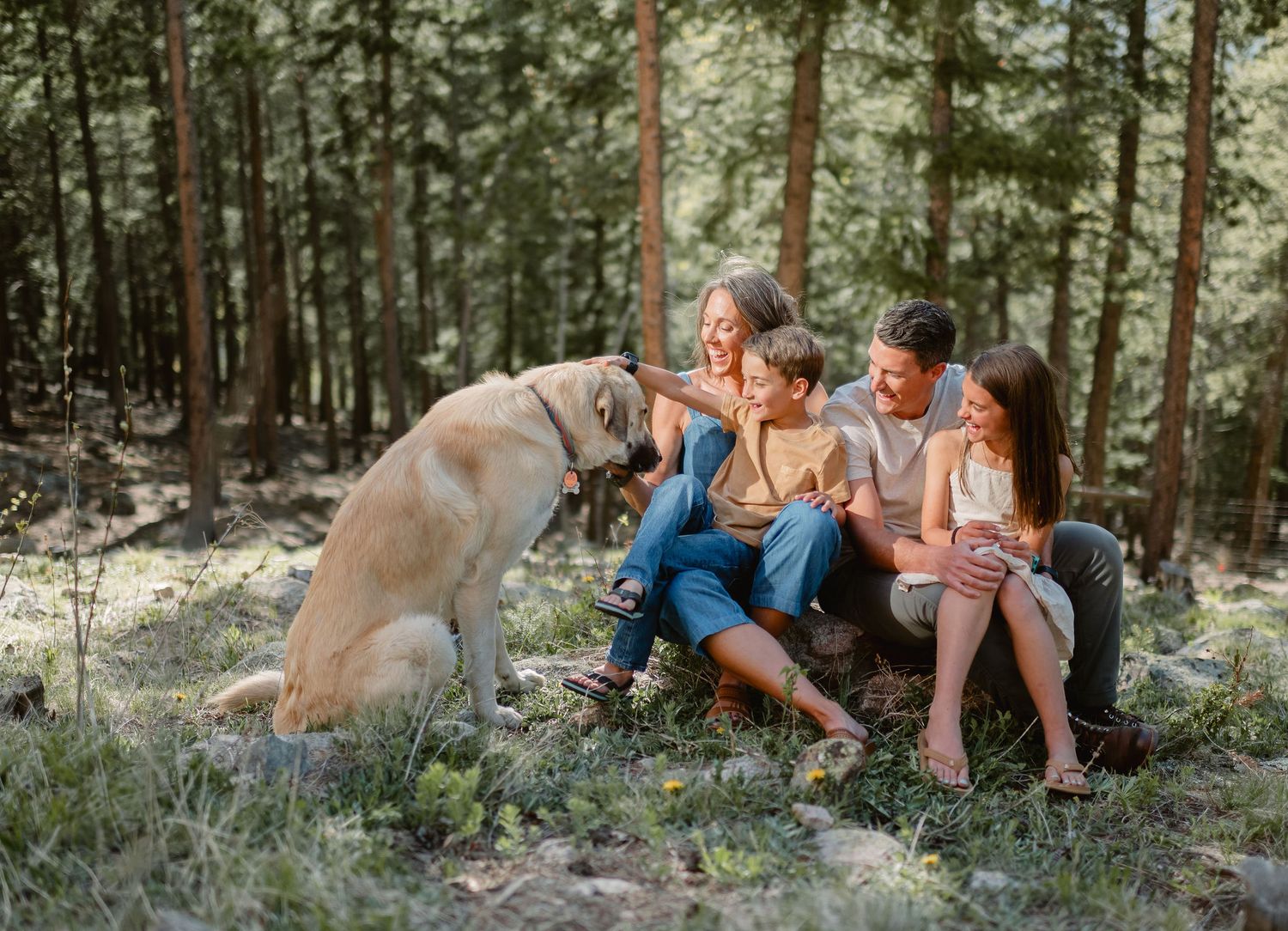 A family and their dog enjoy a relaxing moment together in a serene forest setting.