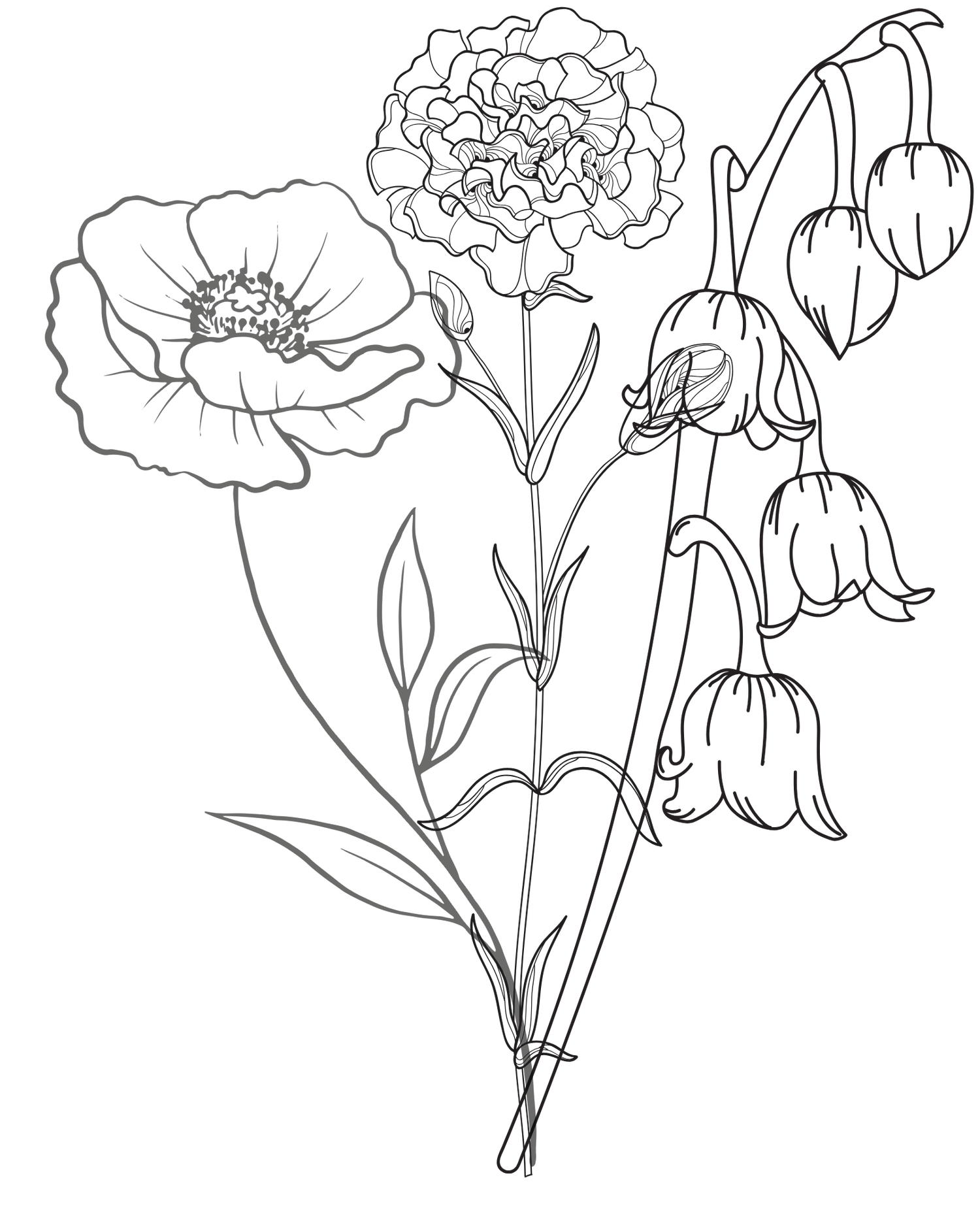 Minimalist line art of lily, carnation, and poppy — family birth flowers symbolizing love, memory, and connection.