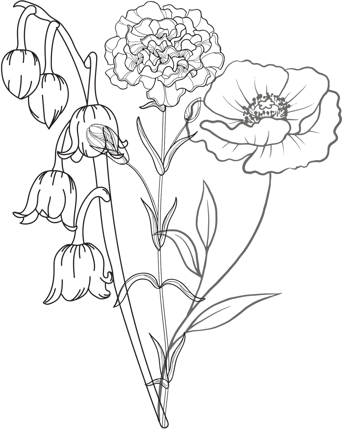 Minimalist line art of lily, carnation, and poppy — family birth flowers symbolizing love, memory, and connection.