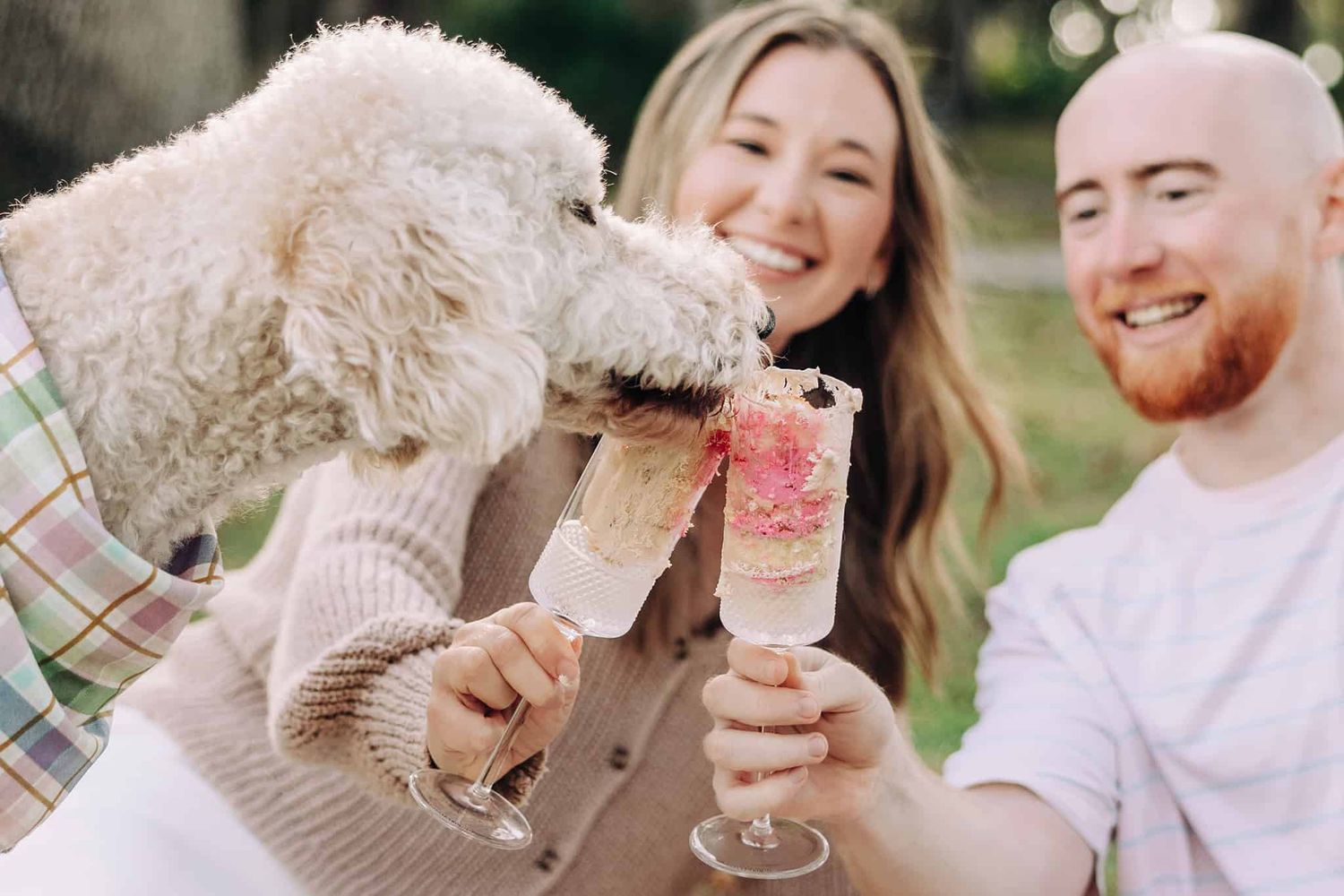 new mom and dad holding glasses with pink cake after gender reveal as the dog licks the frosting