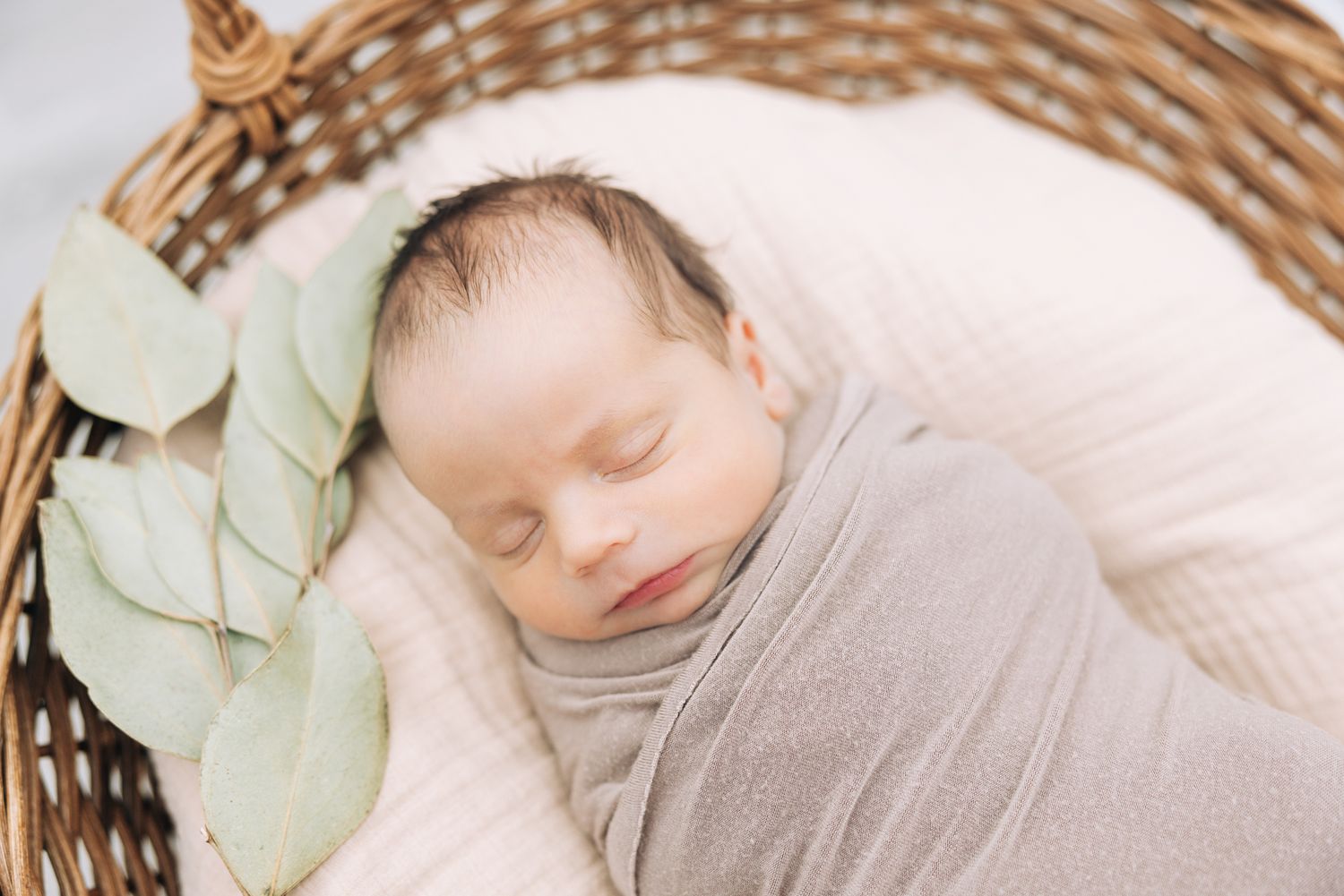 newborn baby in a basket in Jacksonville, fl