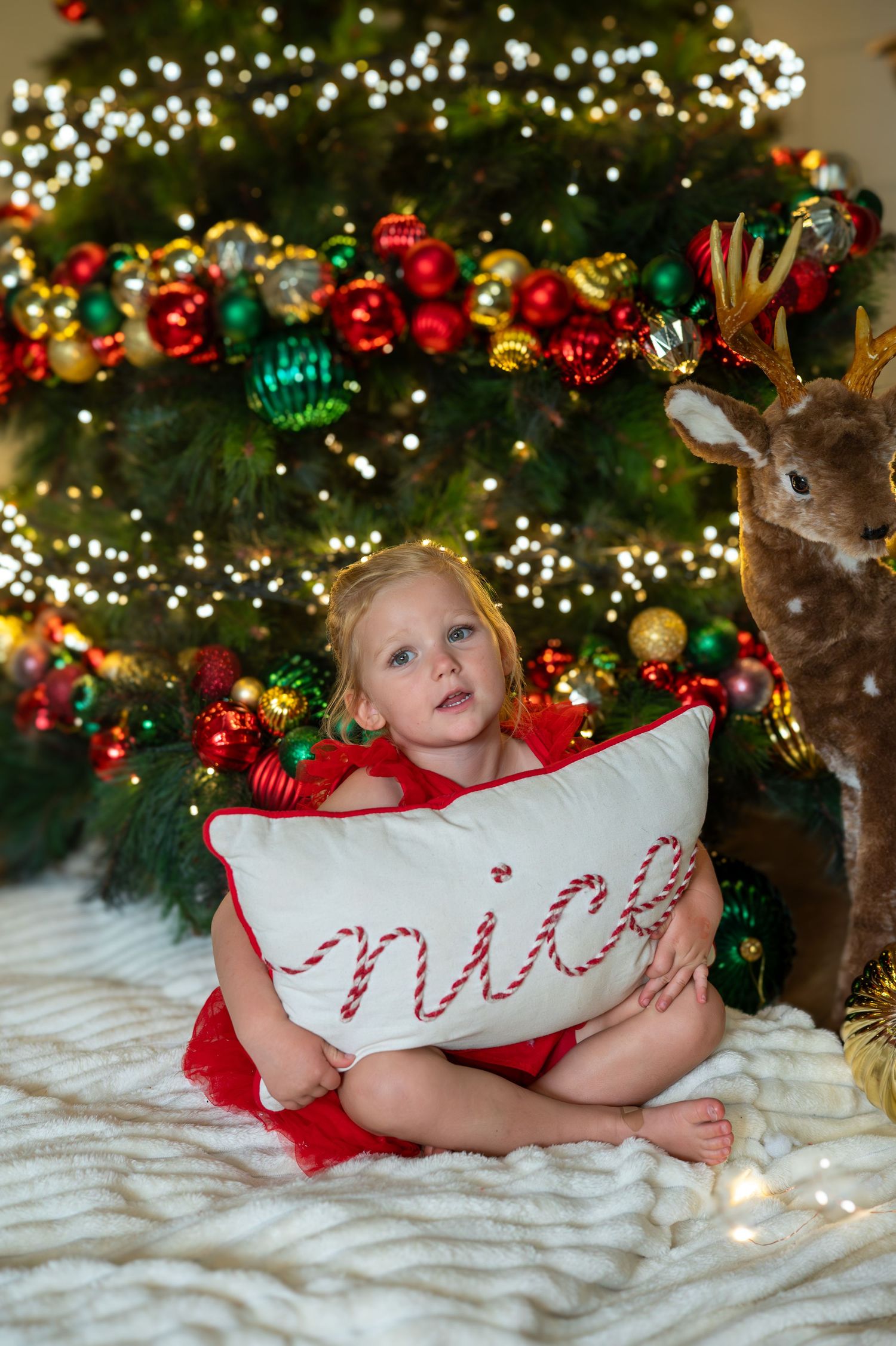 Christmas photos, family photography, Gilgandra Central West NSW The Mellor Perspective