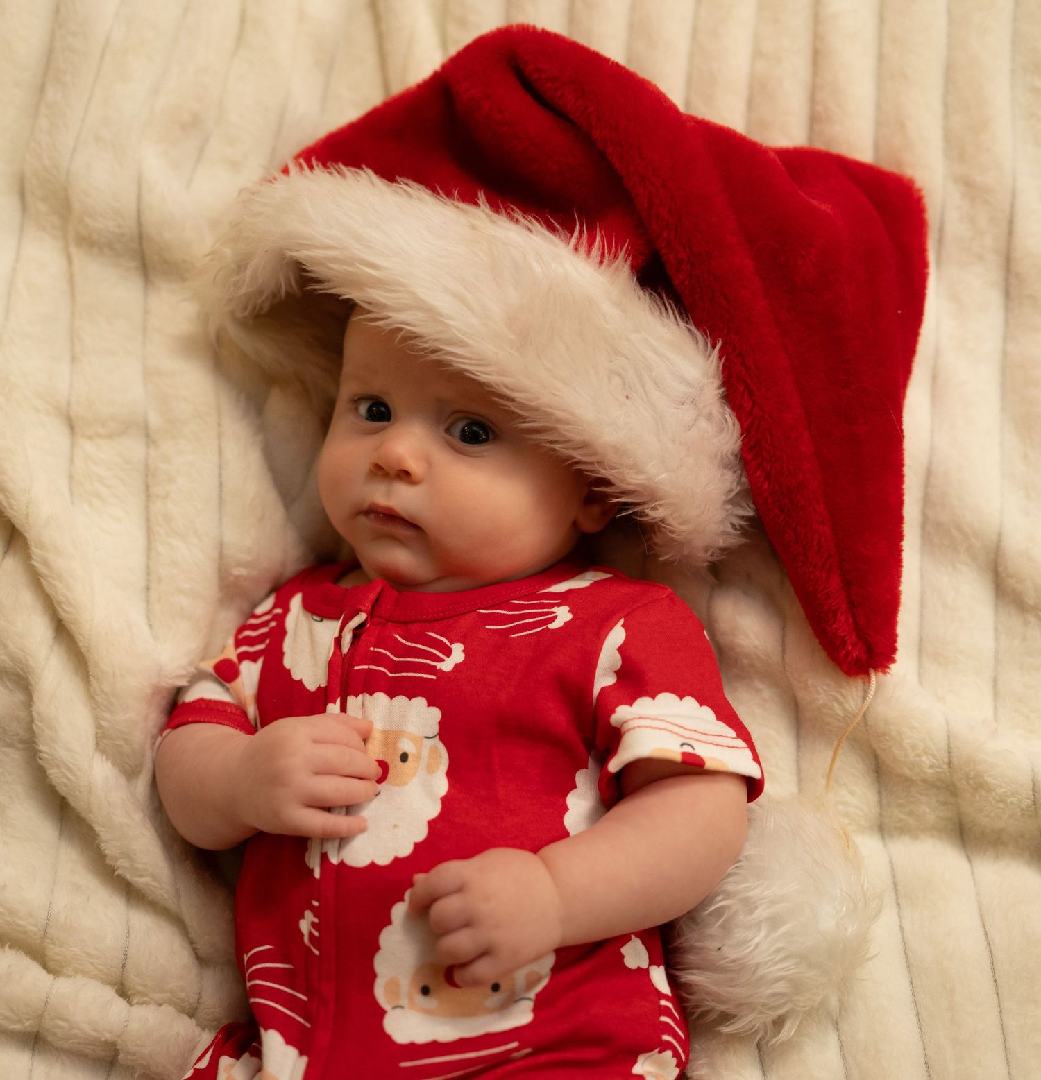 Christmas photos, family photography, Gilgandra Central West NSW The Mellor Perspective